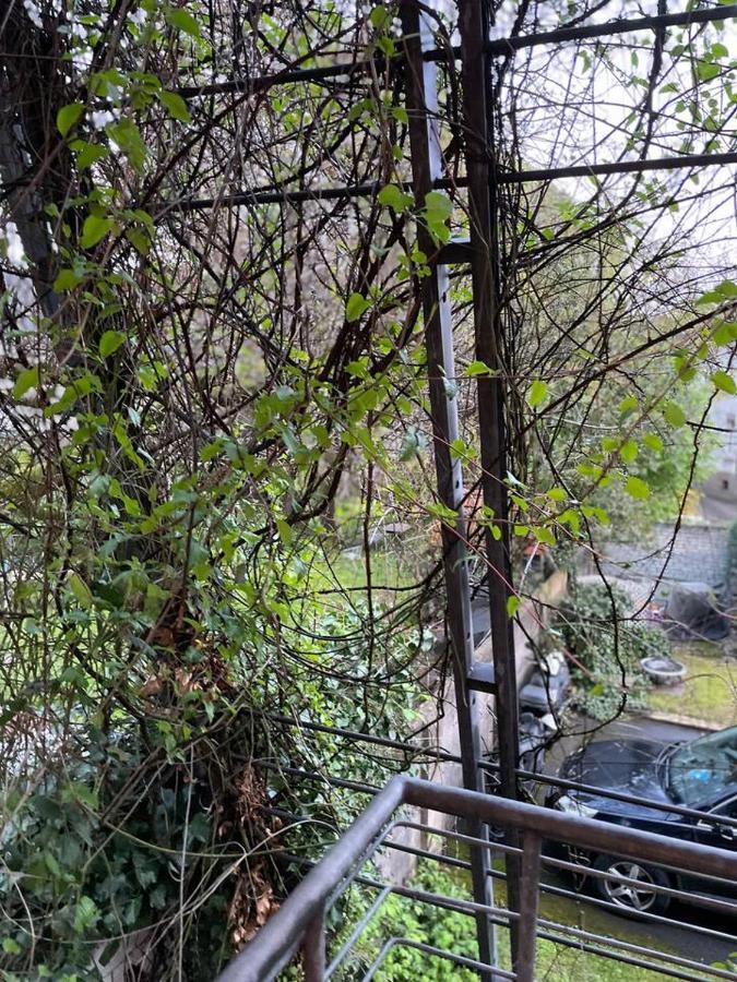 Schoene Wohnung In Zentraler Lage Im Ruhrgebiet Witten Dış mekan fotoğraf
